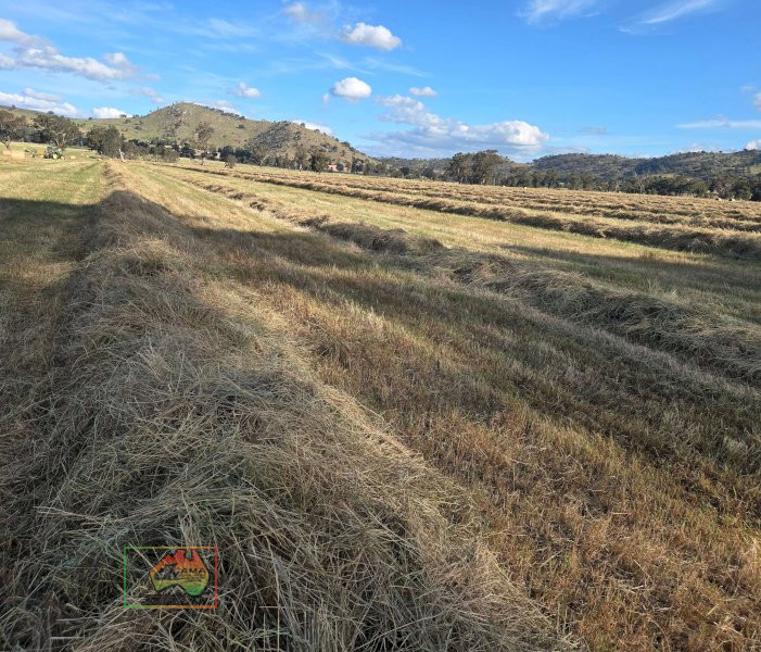 Rolls of 4x4 Rye & Barley Hay ($/Roll) - photo 2