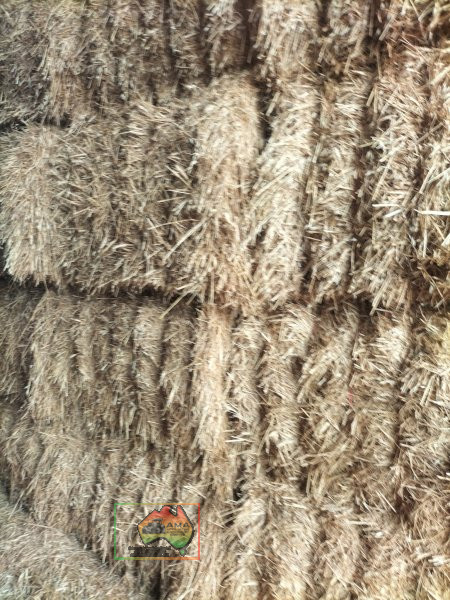 42 Bales of 8x4x3 Barley Hay ($/Bale) - photo 4