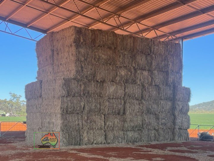 42 Bales of 8x4x3 Oaten Hay ($/Bale) - photo 1