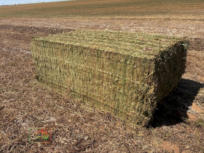 64 Bales of 8x4x3 Vetch Hay ($/Bale) - photo 2