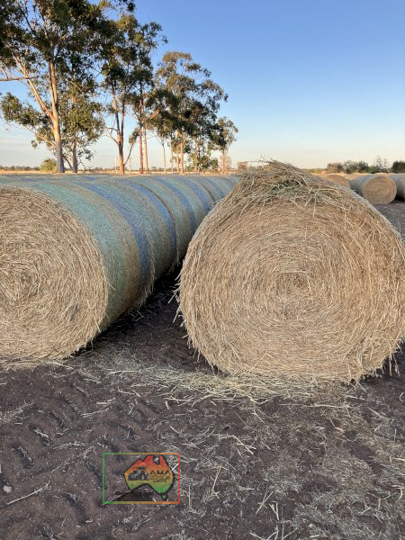 50 Rolls of 5x4 Oaten Hay ($/roll) - photo 1