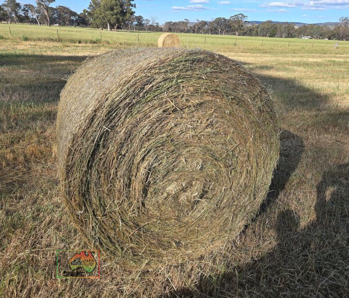 24 Rolls of Pasture Hay ($/Roll) - photo 2