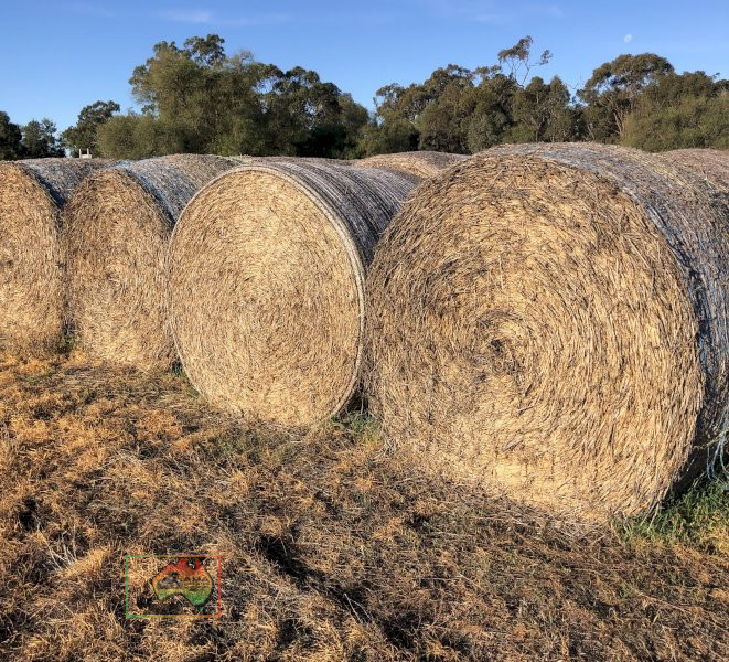 50 Rolls of 5x4 Wheaten Hay ($/roll) - photo 1