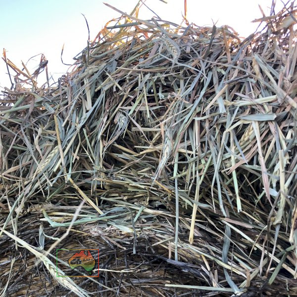 50 Rolls of 5x4 Wheaten Hay ($/roll) - photo 4