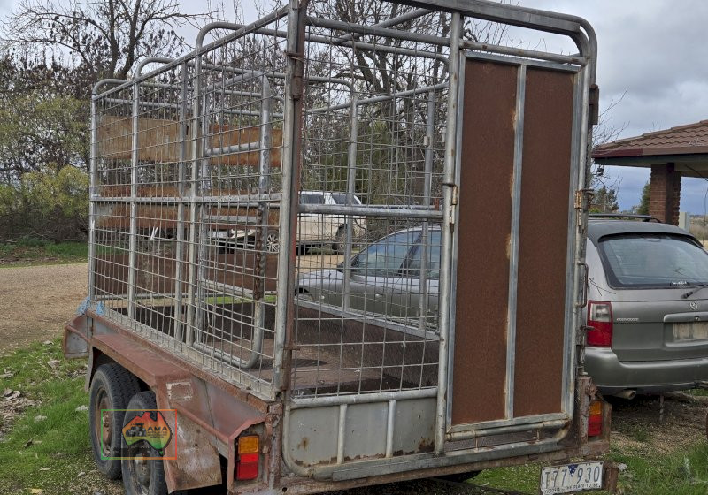 3.1m x 1.5m Tandem Stock Trailer
