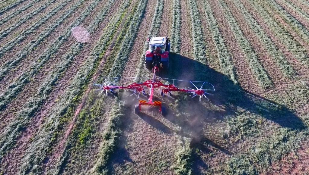 Hay Rake - Fiorini Super Big 1000 - photo 2