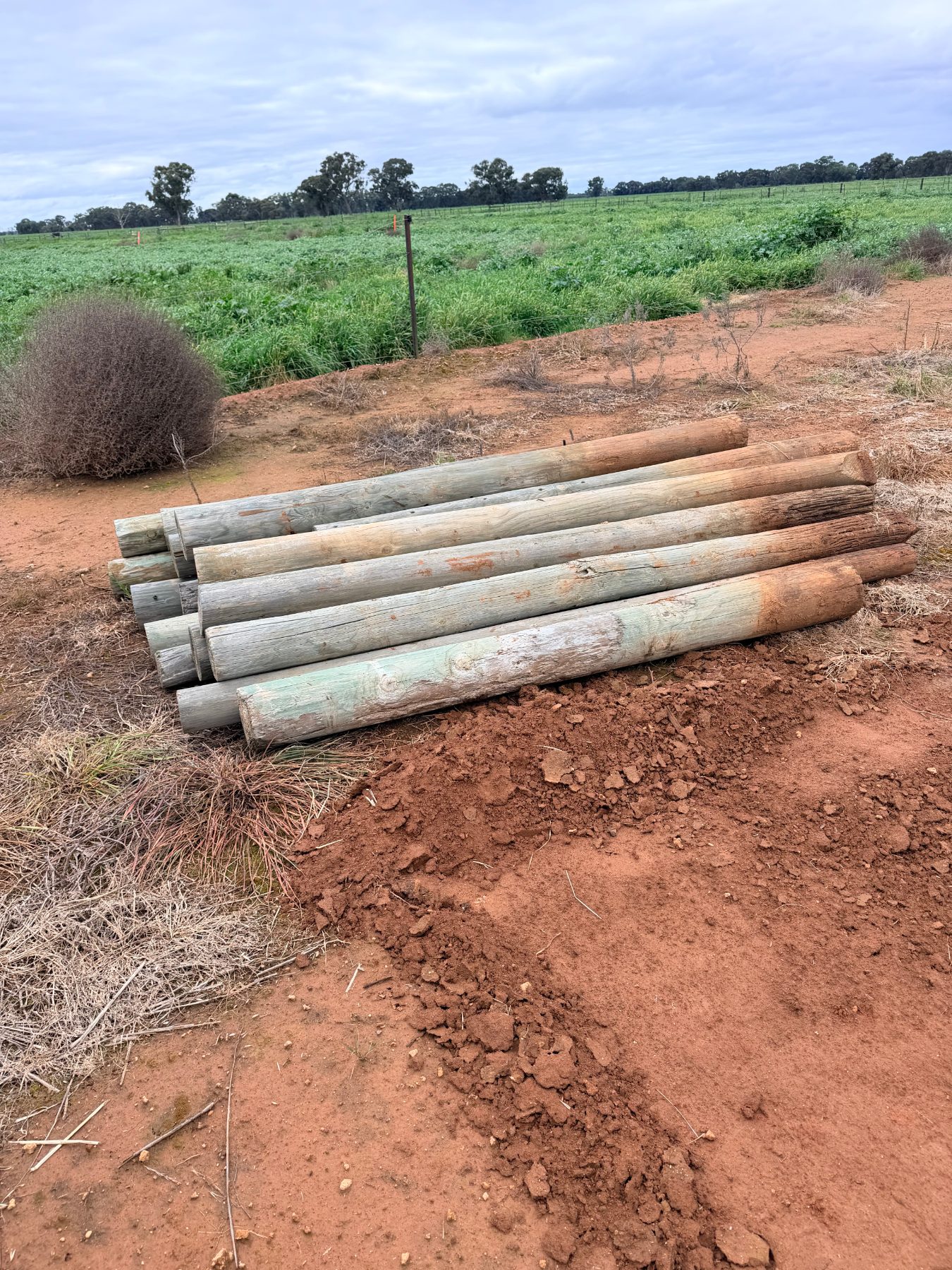 Quantity of assorted treated pine posts - photo 2