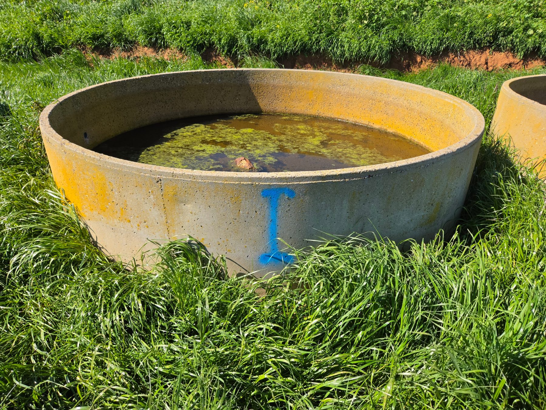 10ft Stock Trough (I) - photo 1