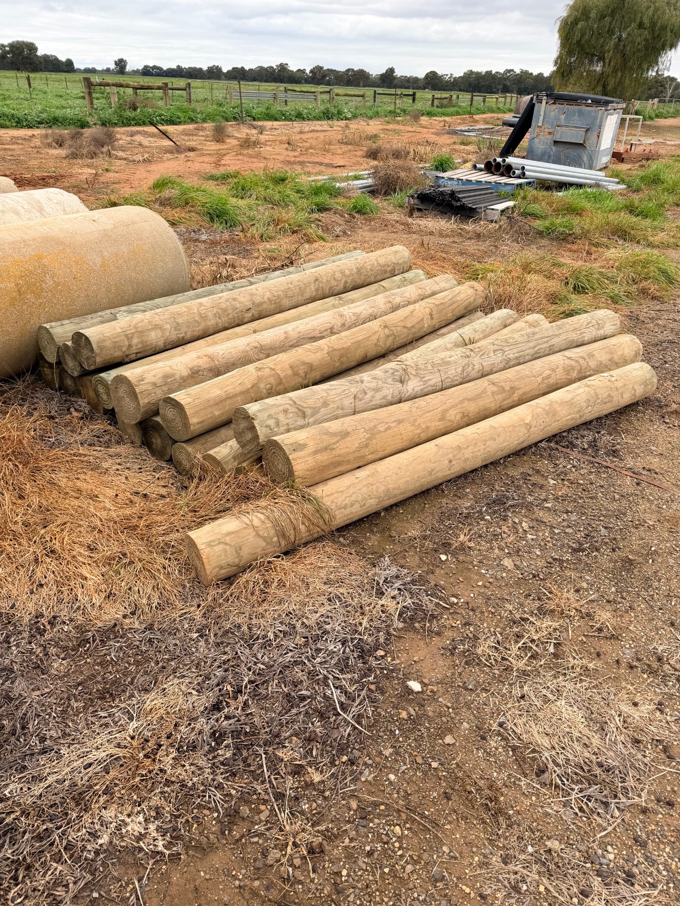 17 as new 8' treated pine strainer posts