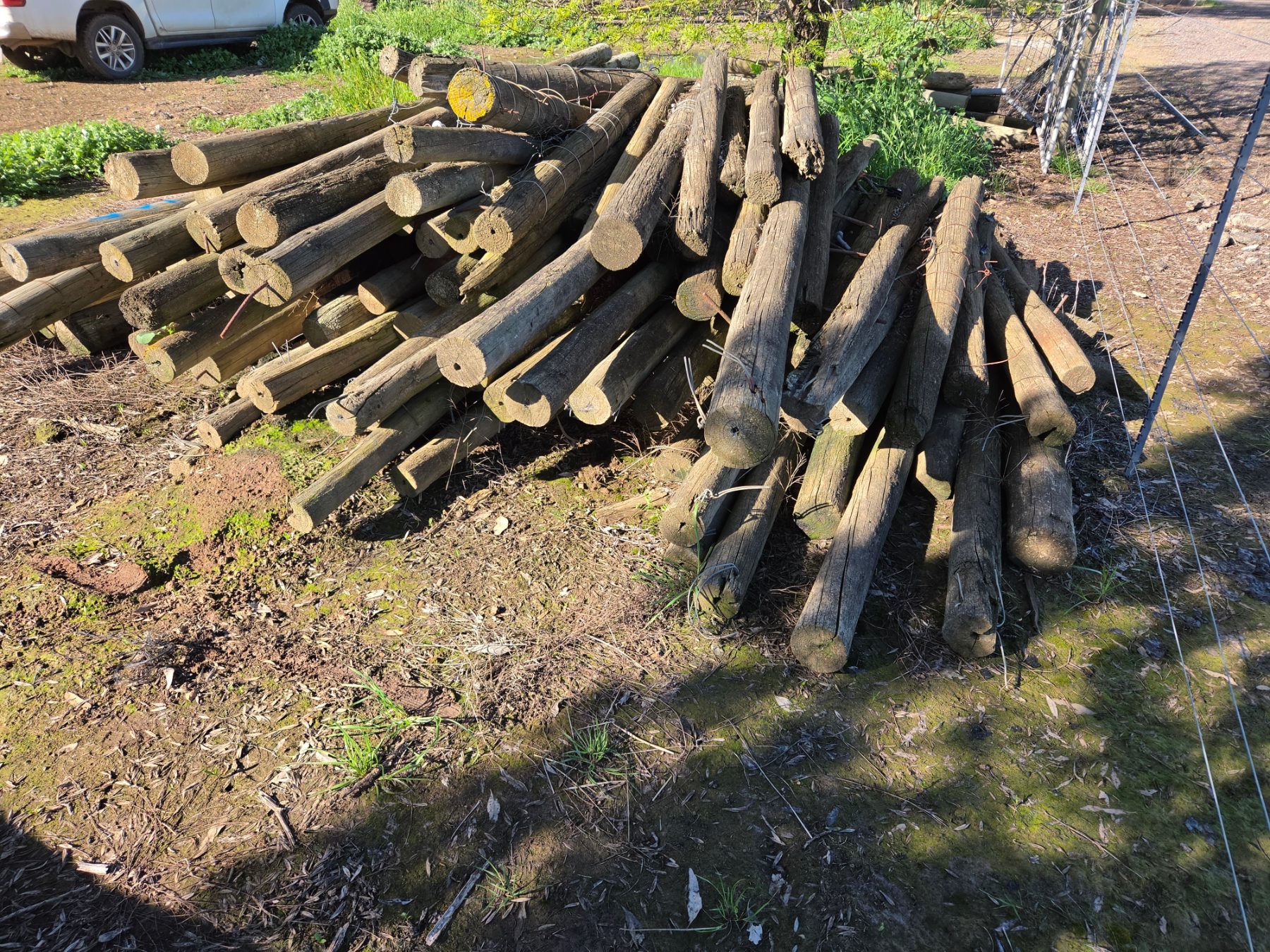 105x Assorted Pine Fence Posts - photo 4
