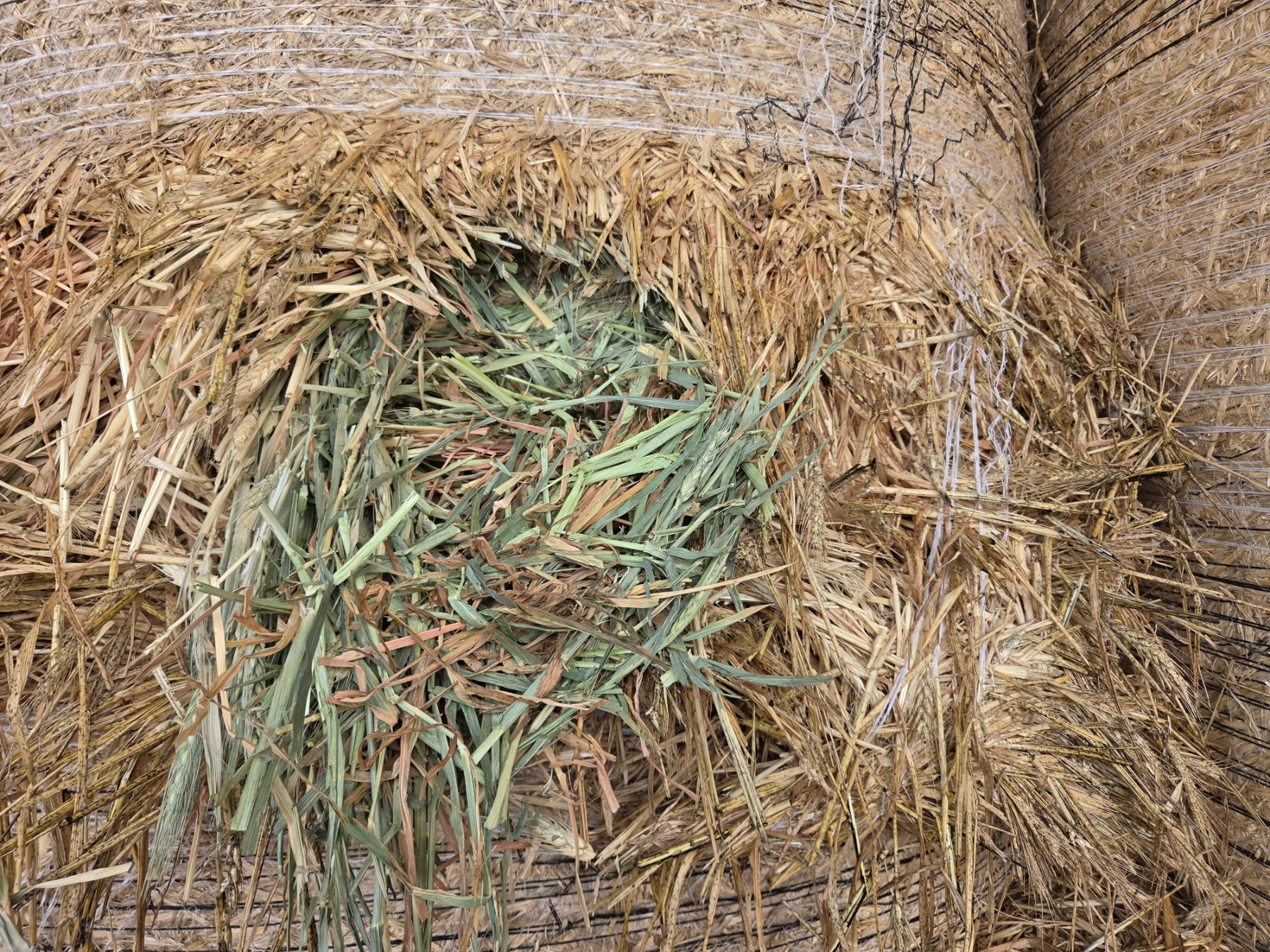 5x4 Rolls of Quality Wheaten Hay - photo 5