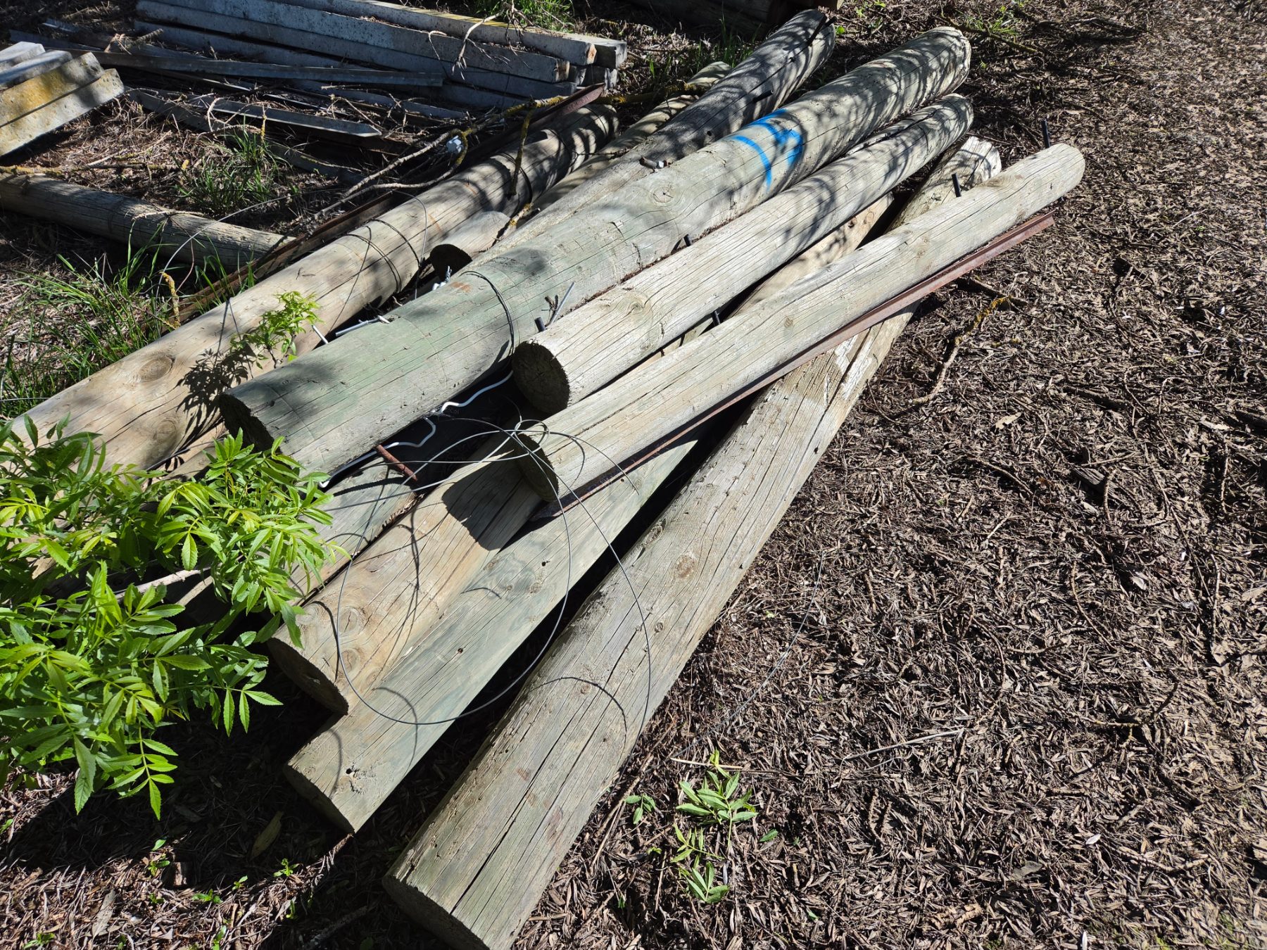 15x Assorted Pine Fence Posts - photo 3