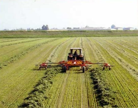 Hay Rake - Fiorini Super Big 1000 - photo 3