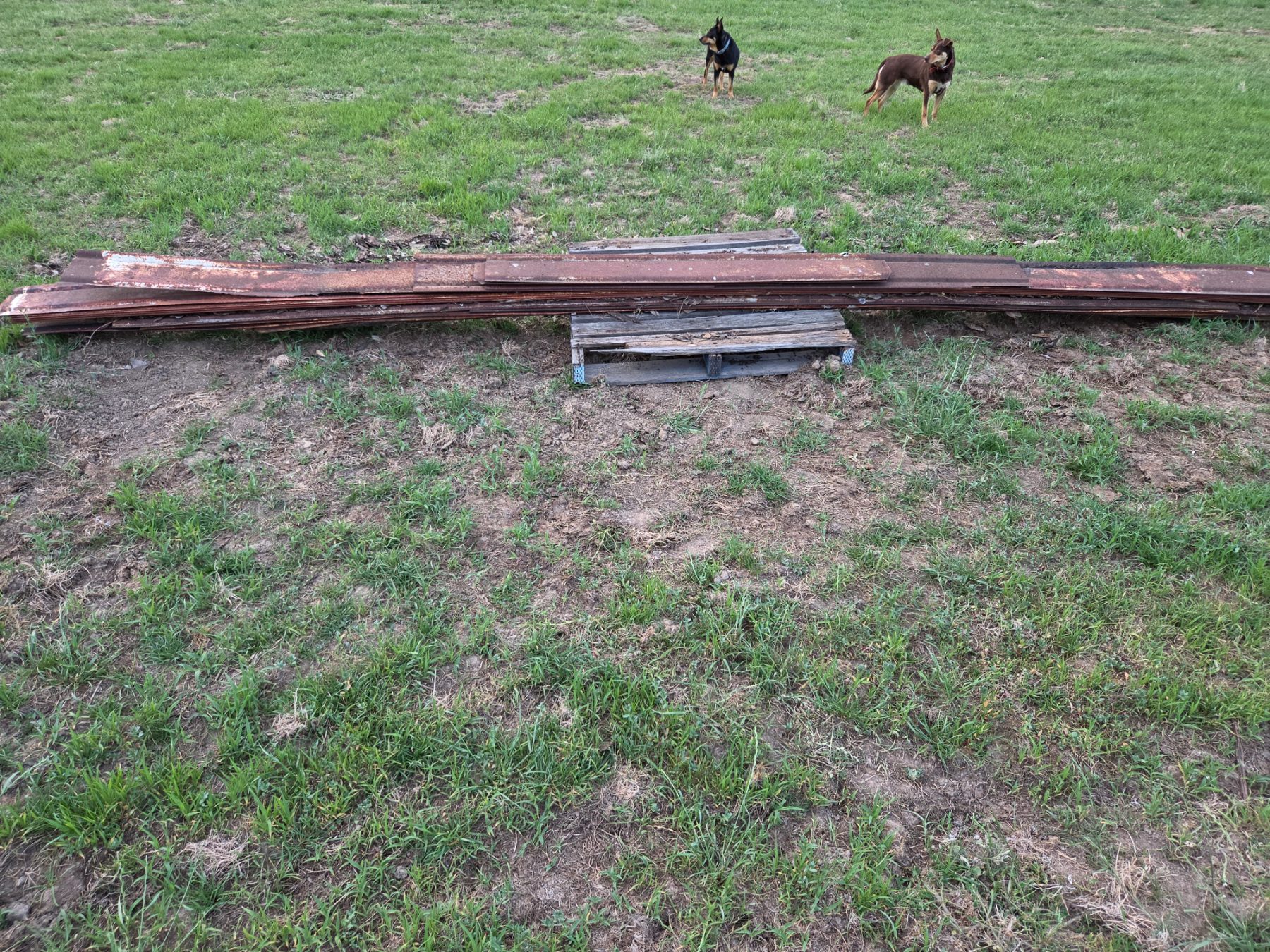 Used - Steel Stockyard Rails - photo 2