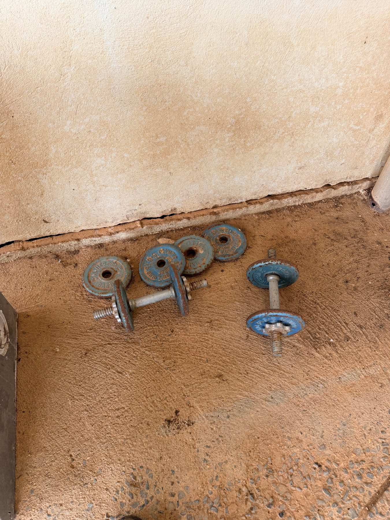 2 gym dumbbells - photo 2