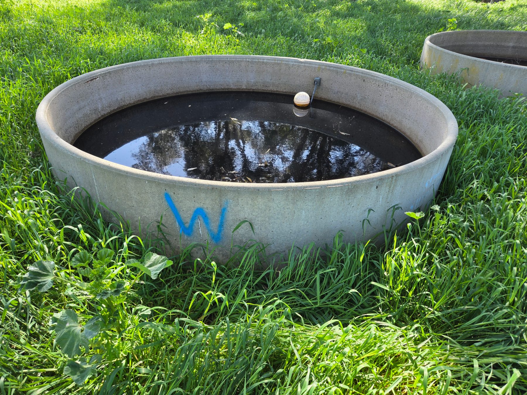 Septec 10ft Trough with Ball Valve (W) - photo 1