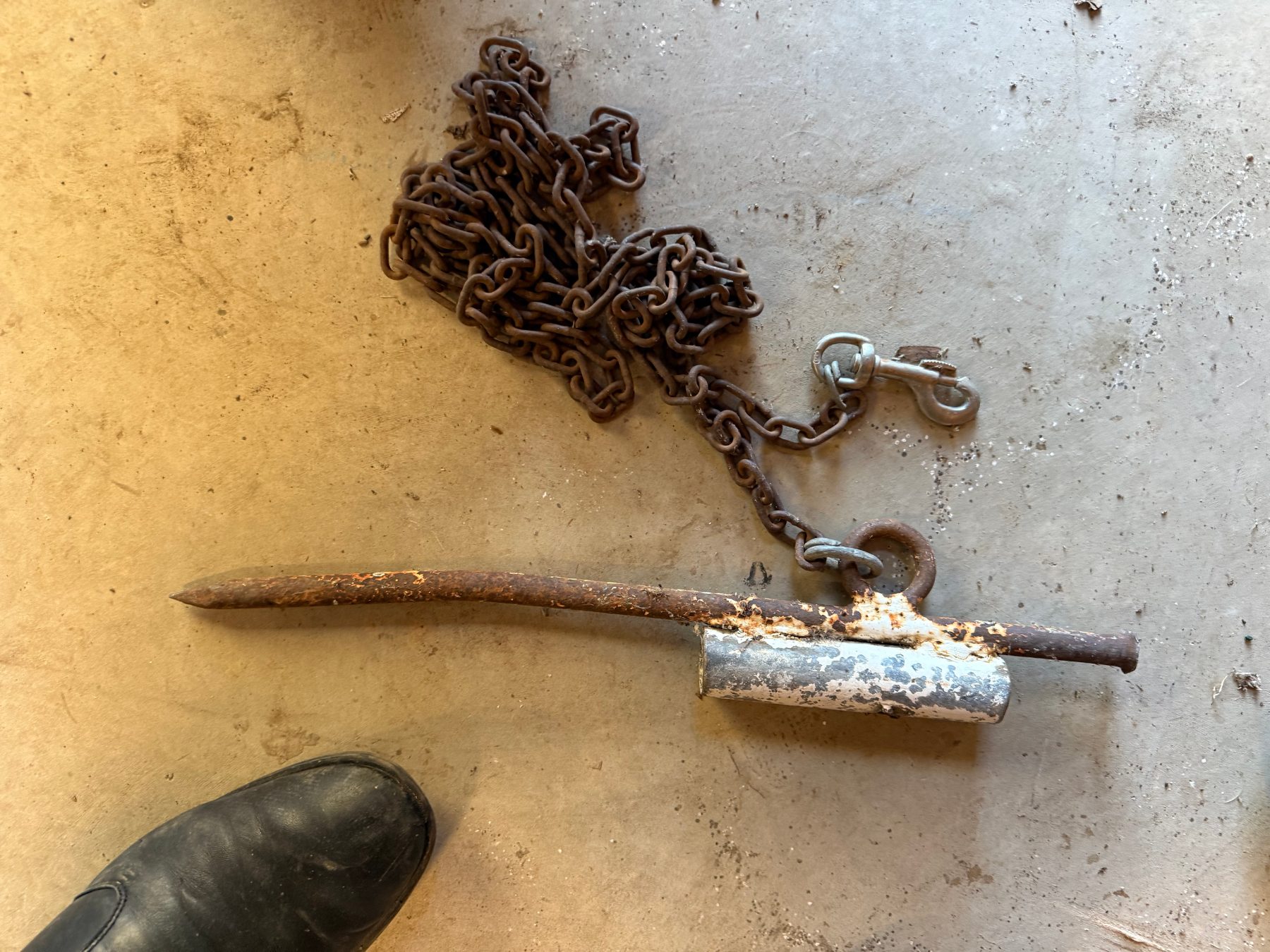 Dog chain and heavy pin - photo 1