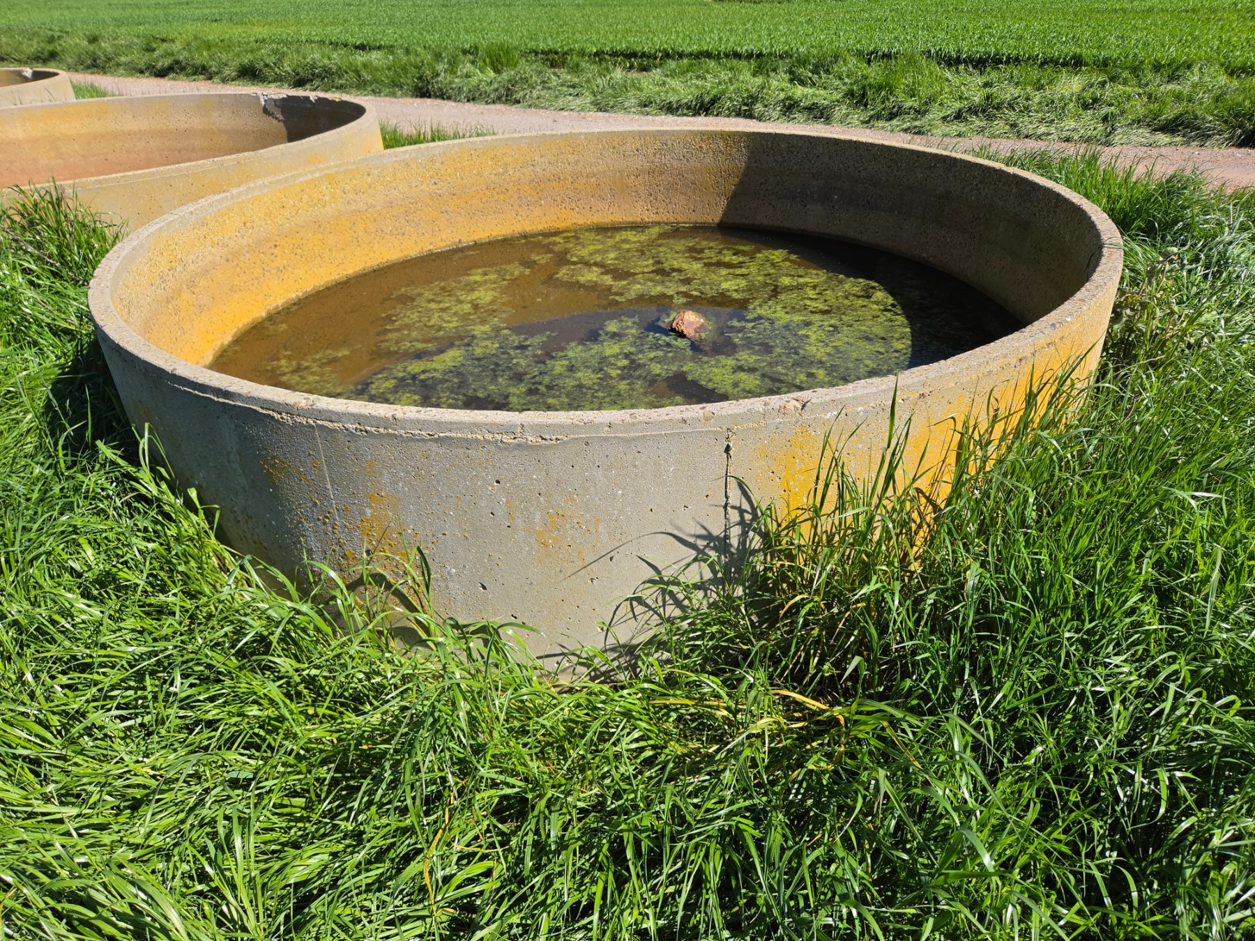 10ft Stock Trough (I) - photo 3