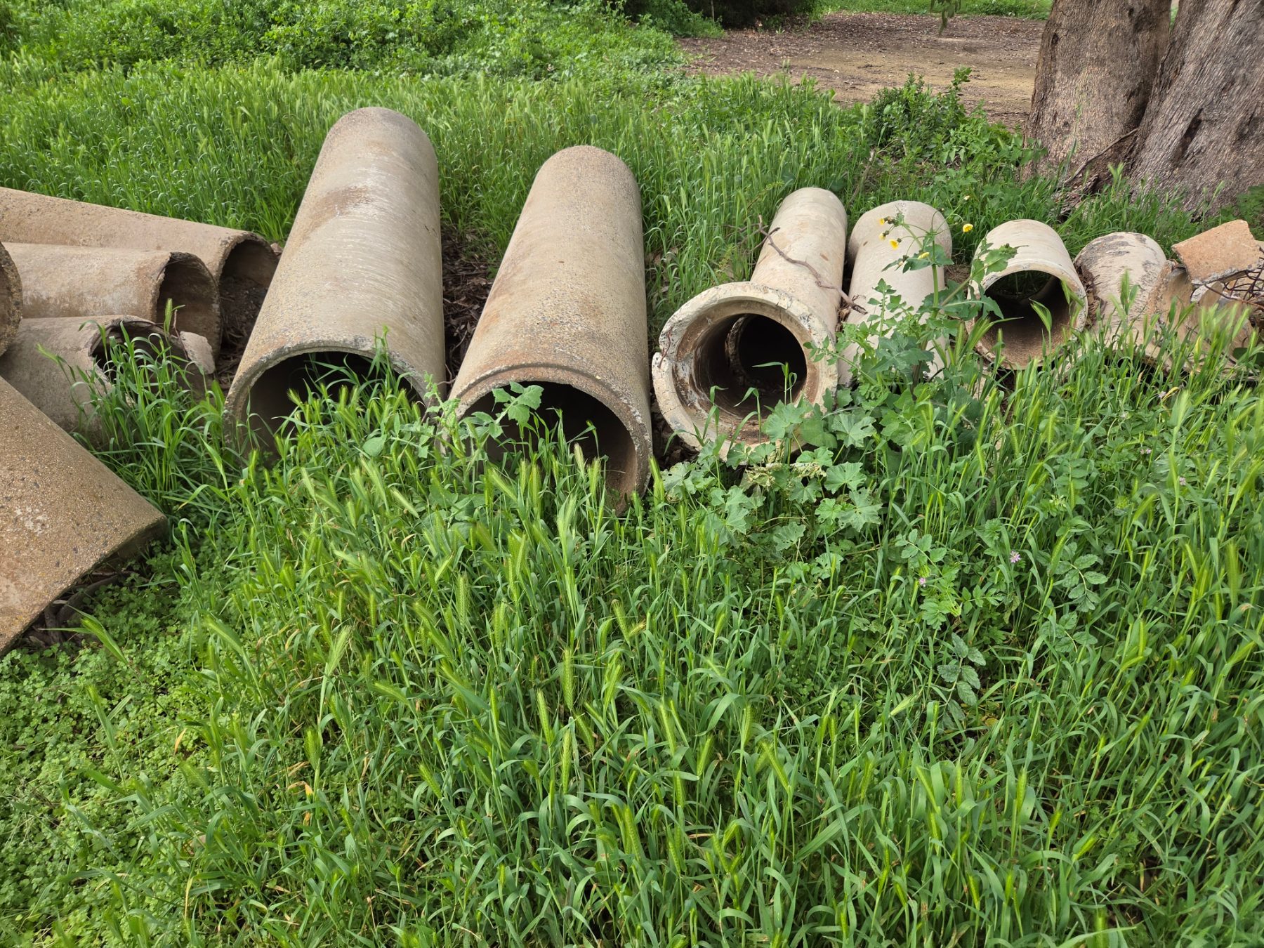 Assorted Concrete & Clay Pipes - photo 3