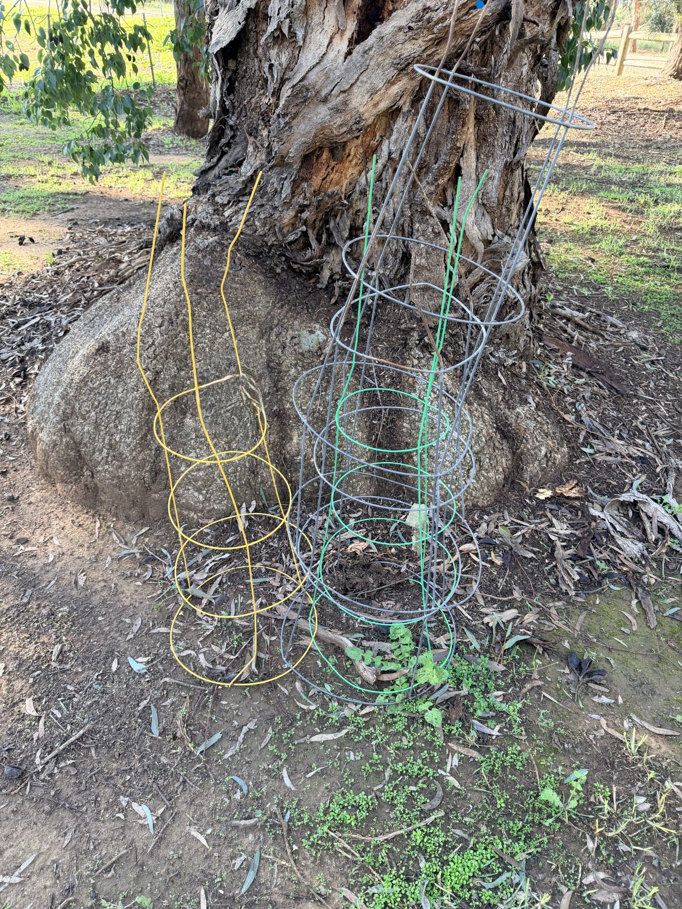 3 various large sized tree guards