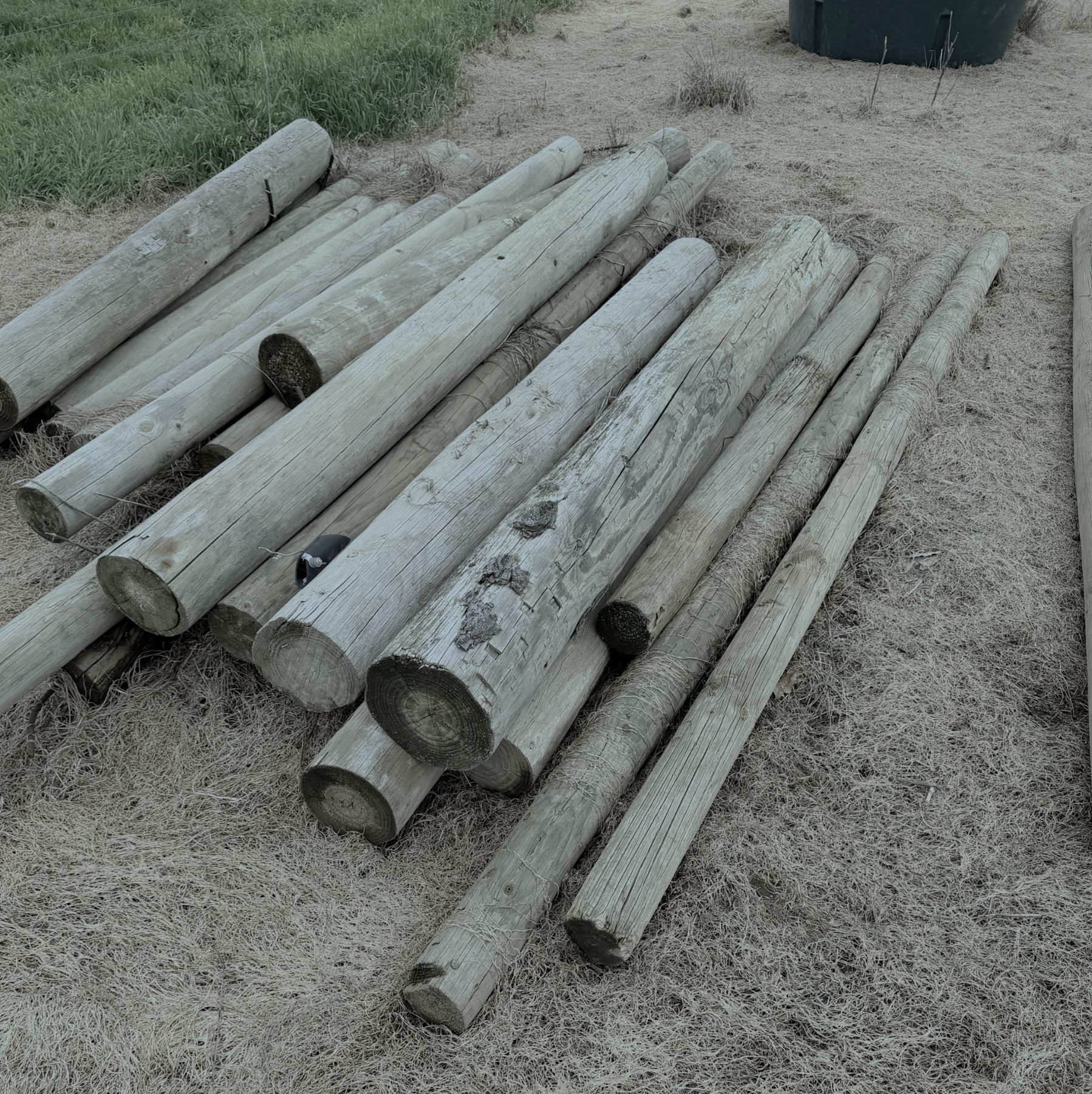 Assorted treated pine posts