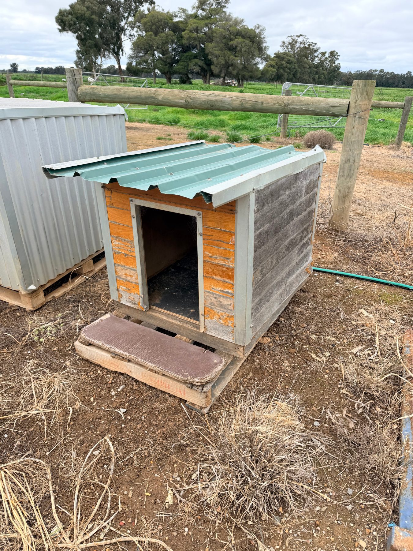 Dog Kennel