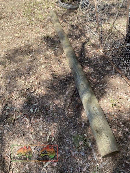 Treated Pine Post/Stay