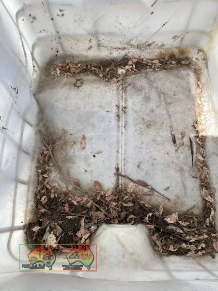 IBC Crate - photo 2