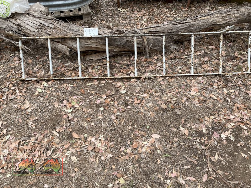 Steel Ladder