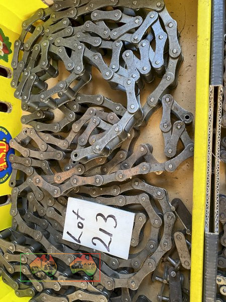Roller Chain and Industrial Chain