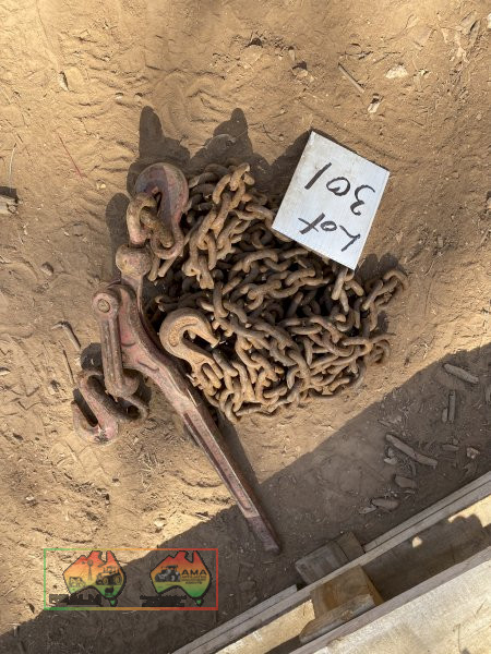 Dog Lever and Chain