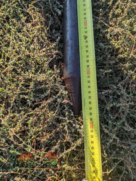 3pl HAY FORkS - photo 5