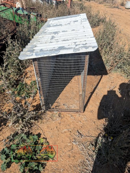 SMALL CHOOK CAGE - photo 3