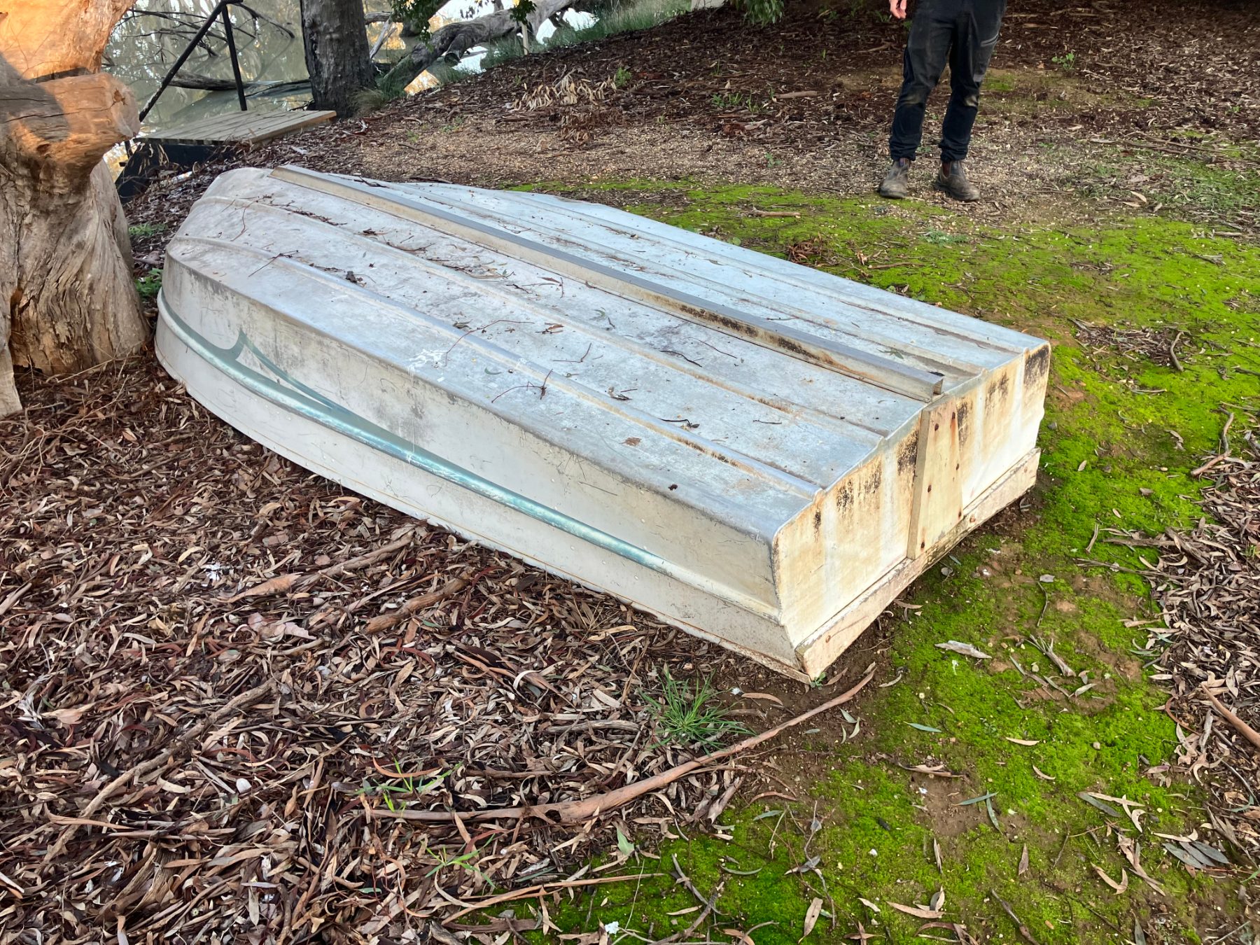 11' Tinny - photo 2