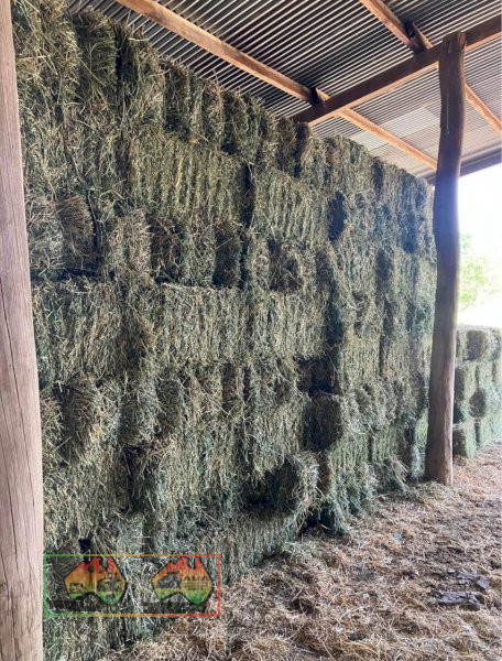 Small Square Lucerne Bales - Second Cut $22 each - photo 3