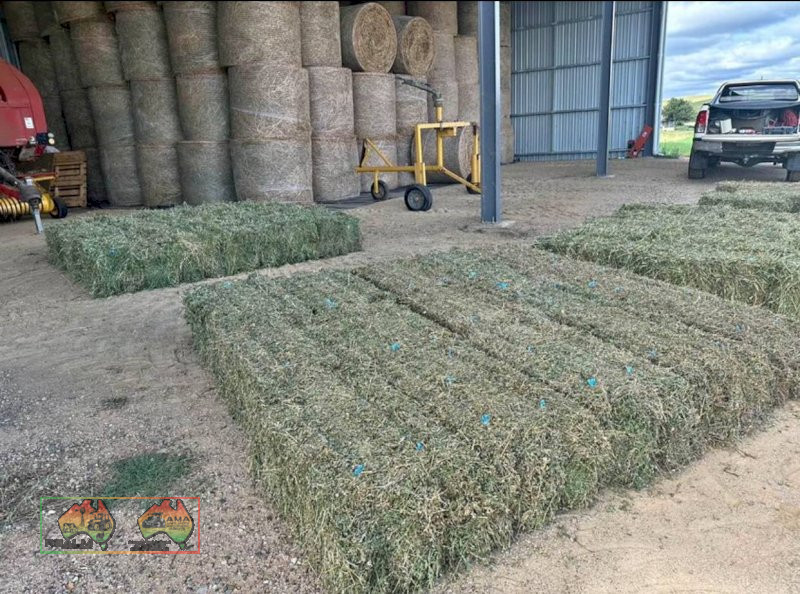 Small prime lucerne square bales weighting at 25kg each $22 plus gst per bale 300 available - photo 3
