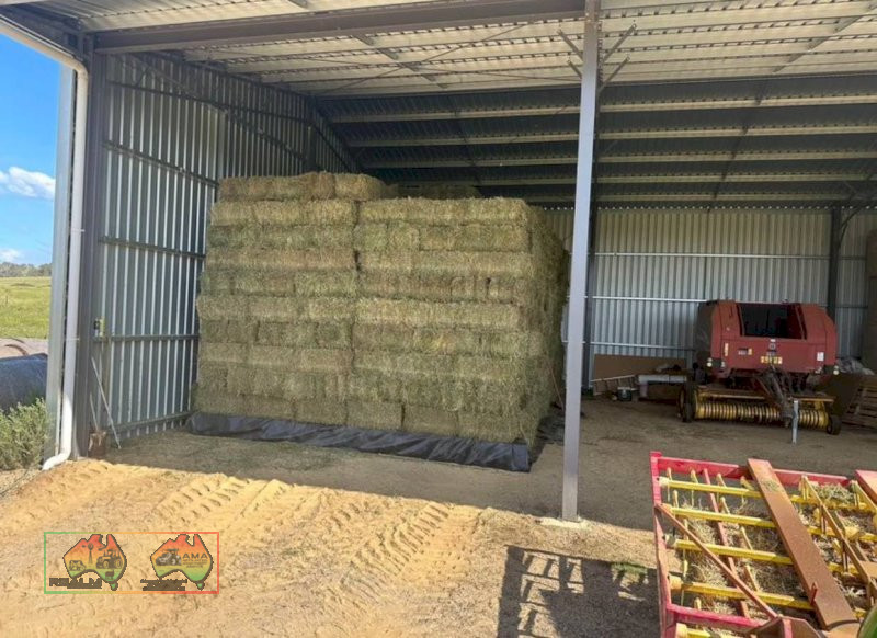 Small prime lucerne square bales weighting at 25kg each $22 plus gst per bale 300 available - photo 2