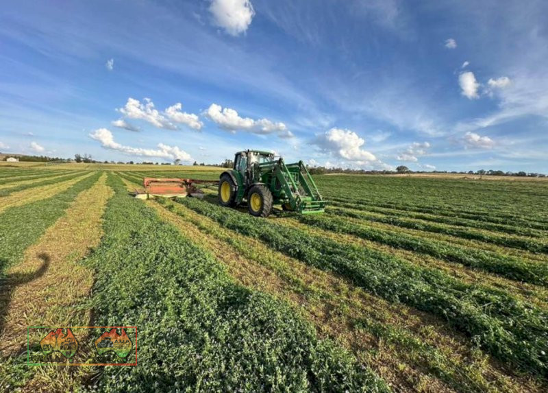 Small prime lucerne square bales weighting at 25kg each $22 plus gst per bale 300 available - photo 1