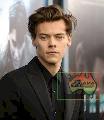 2 Harry Styles Tickets Fri 27 Nov