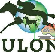 VIP Tickets to Yulong's Private Suite - Super Saturday