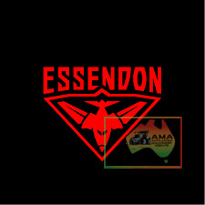 Essendon Football Guernsey