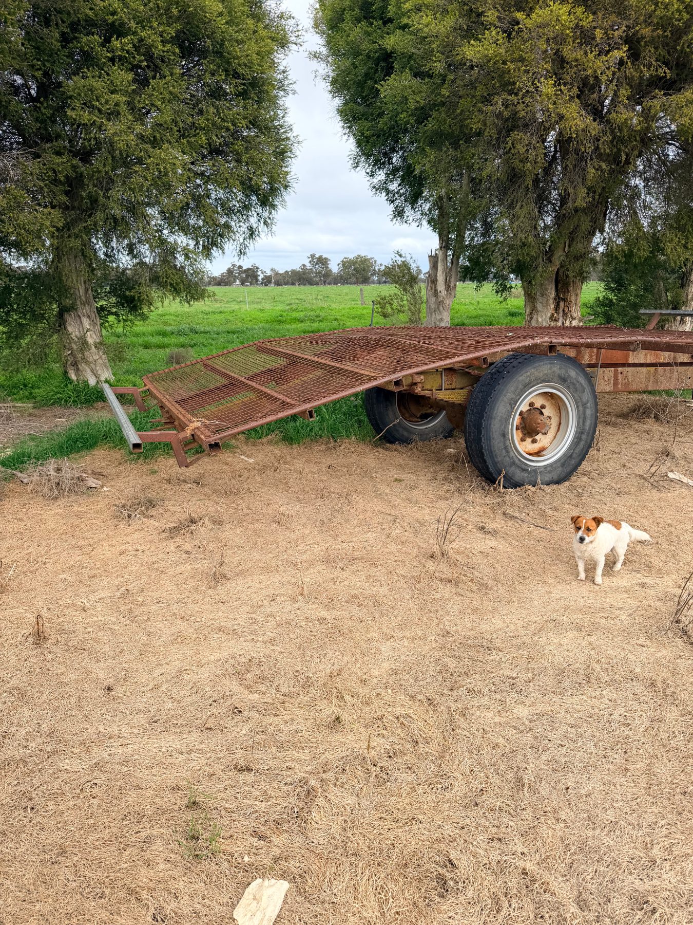 Hay trailer - photo 4