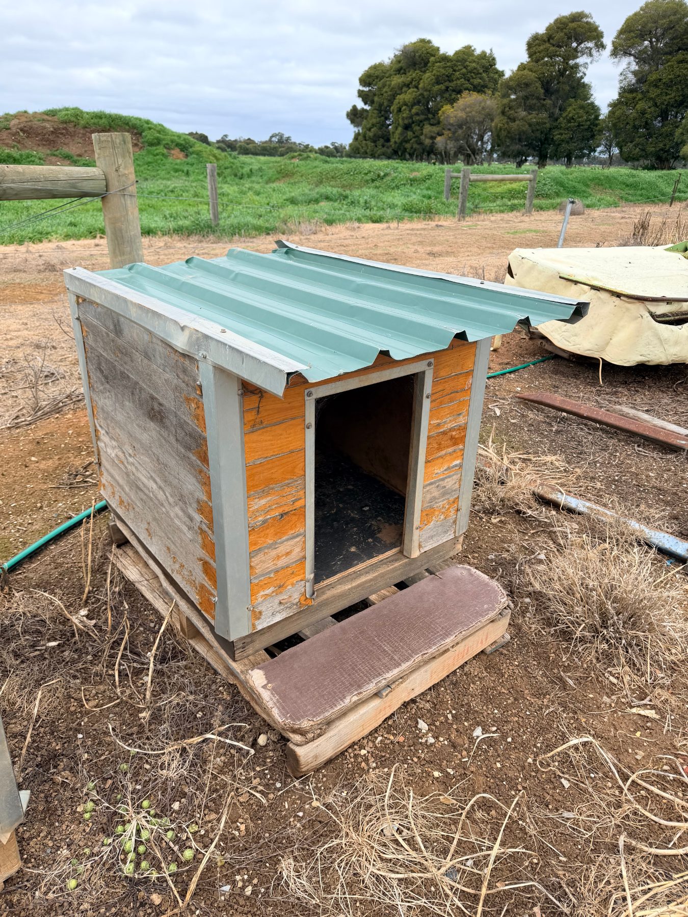 Dog Kennel - photo 2