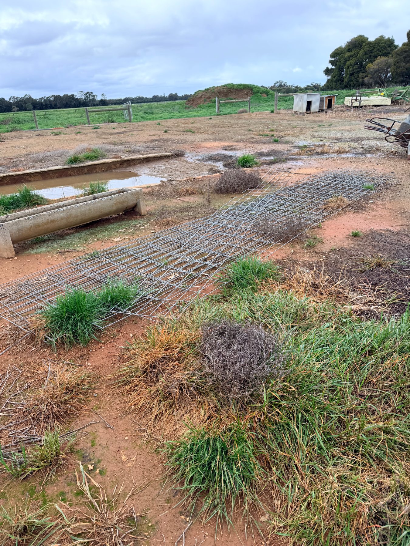 4 of 6m lengths of fencing/gate mesh & 1 of 3m length