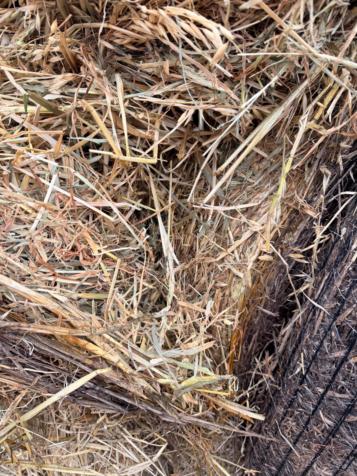 6 of 5x4 rolls of cereal hay - photo 3