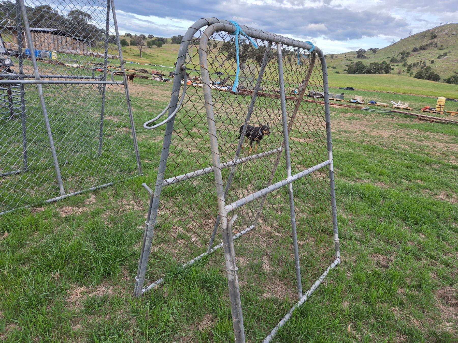 Used - A Pair of Chainmesh Gates - photo 1
