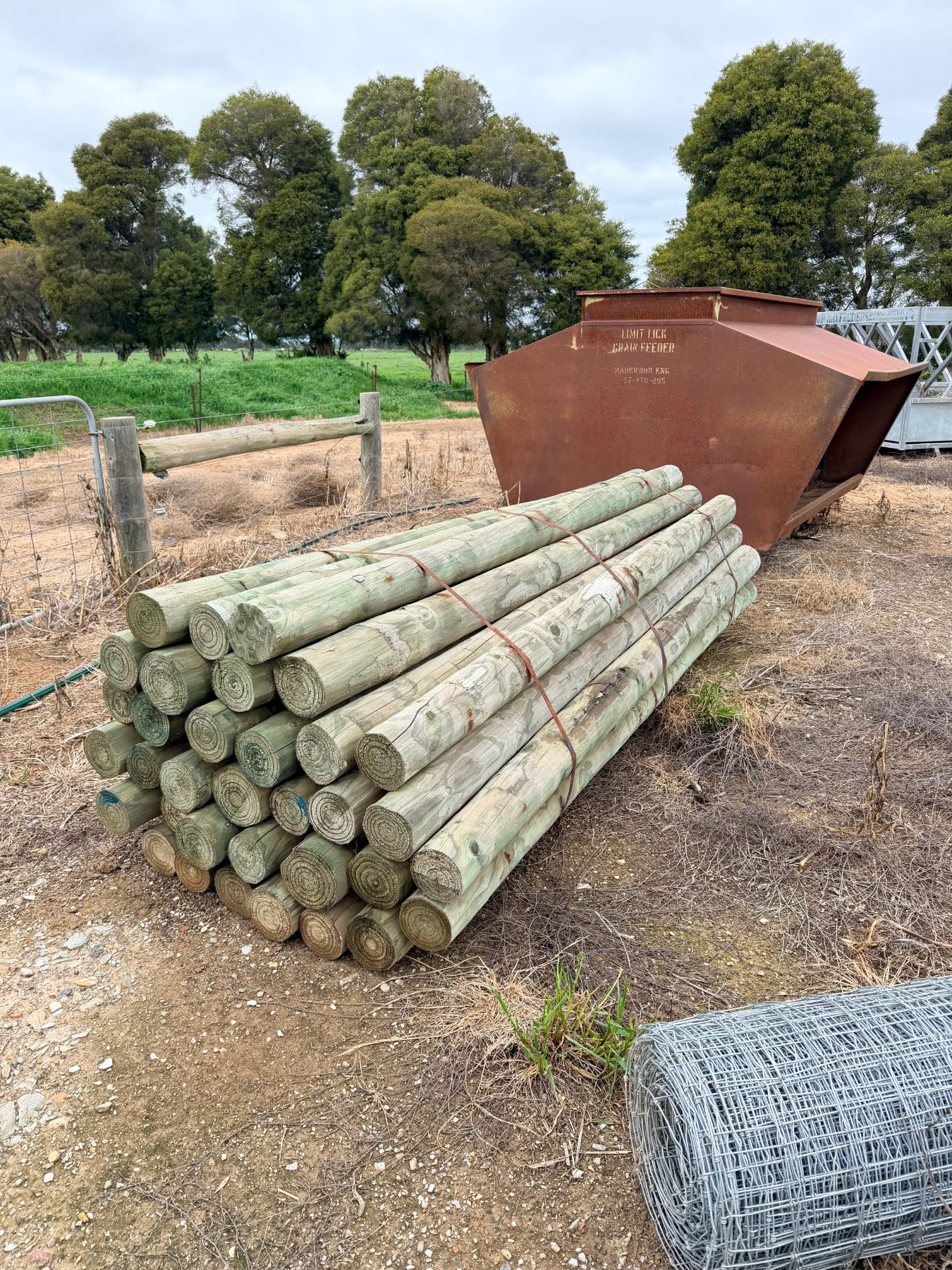 Full bundle of 10' pine posts