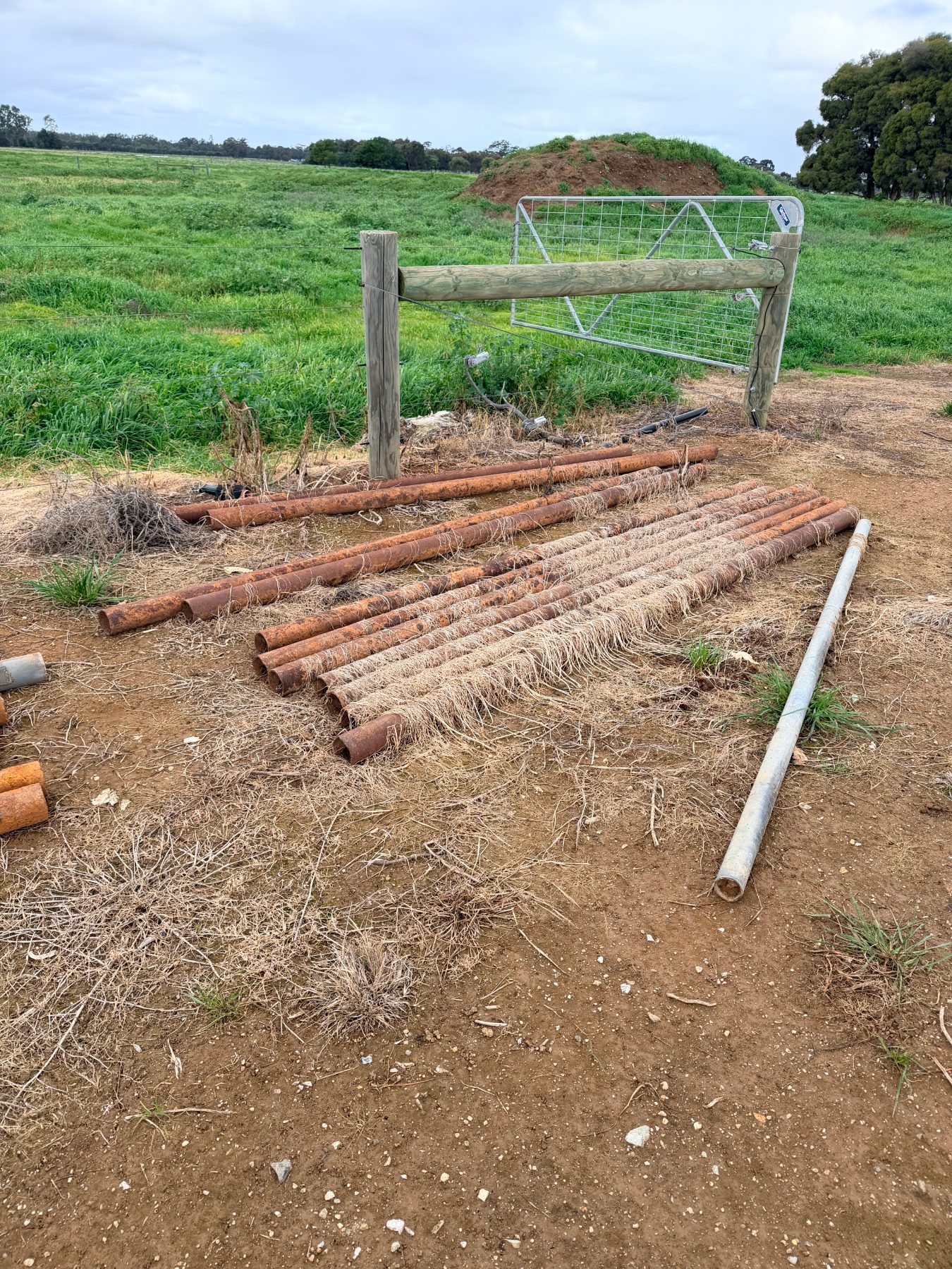 11 of 3m x 90mm gal steel posts - photo 2