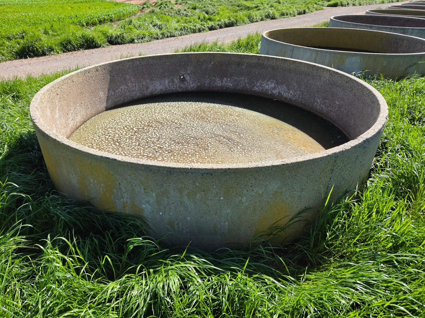 10ft Stock Trough (J) - photo 2