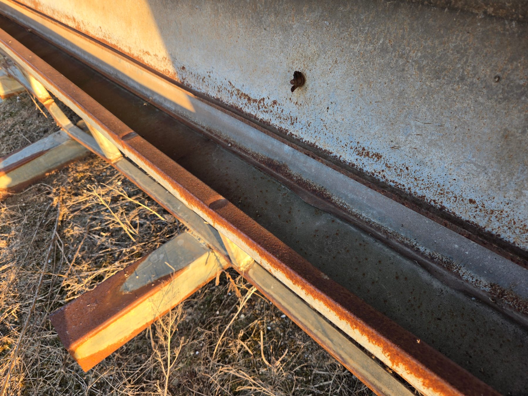 Sheep Grain Feed Bin 800 x 2300 - photo 5
